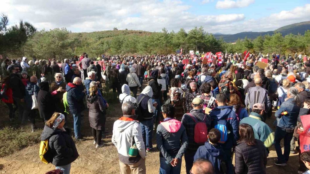 Protesta degli ambientalisti contro il taglio degli alberi a Çanakkale