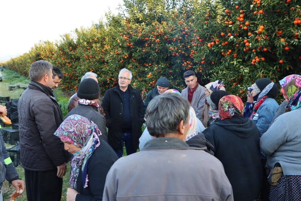 Support for citrus workers from Kozan Municipality