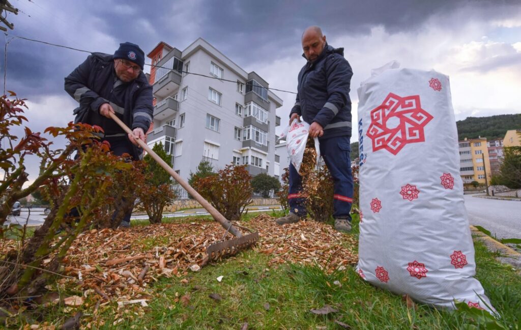 Pruned Branches in Karesi Turn into Fertilizer