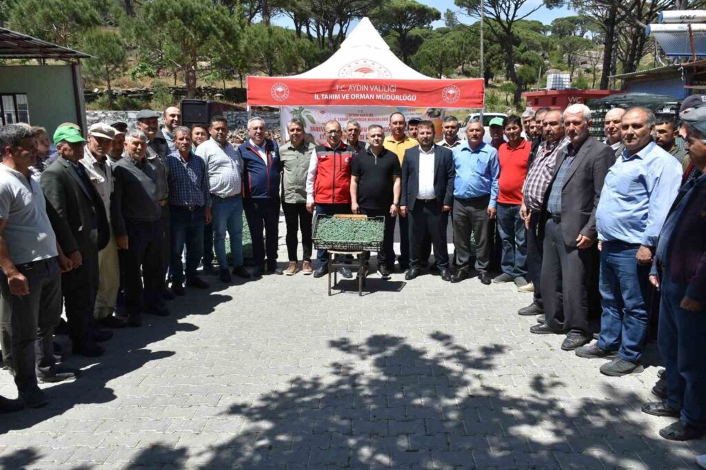 Bozdogan will be the tomato production hub