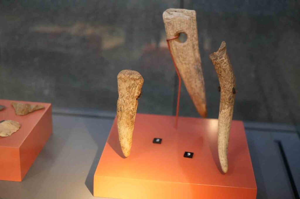 Discoveries of the first human settlement in the Black Sea region are attracting attention