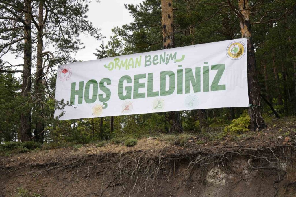 Environmental Cleaning Carried Out in Gümüşhane City Forest as Part of the ‘Forest is Mine’ Campaign