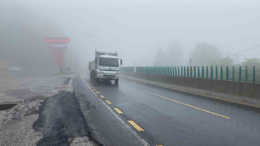 Fog and Rain Effective on Mount Bolu