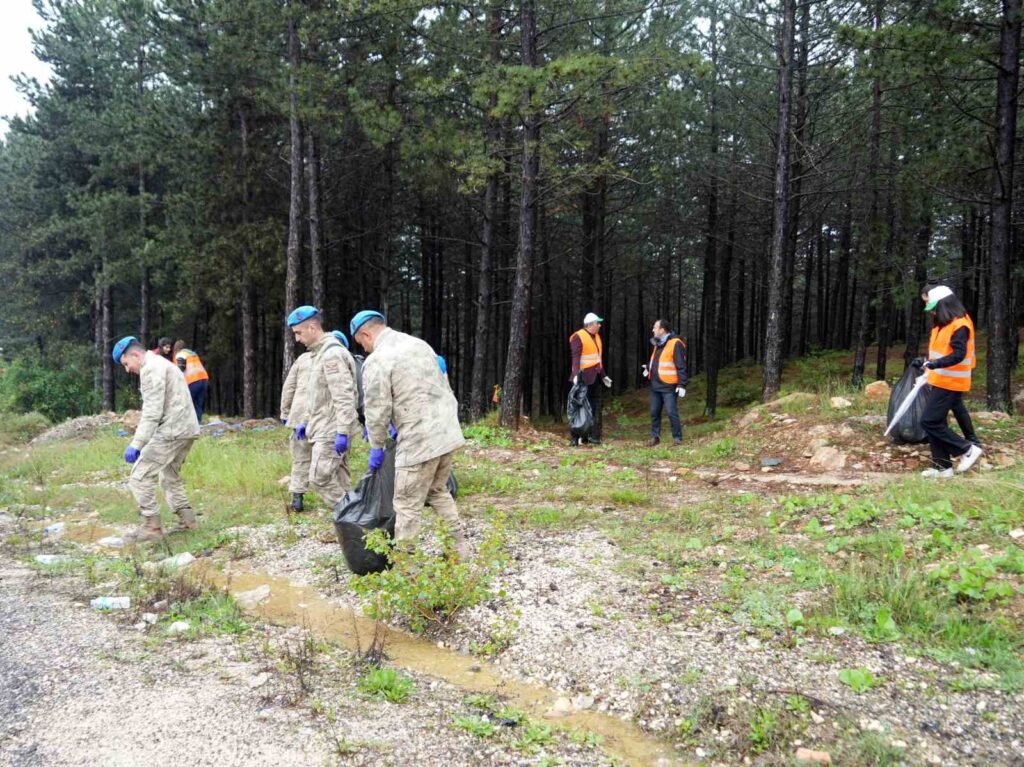 Forest Area Waste Cleaning and Fire Prevention