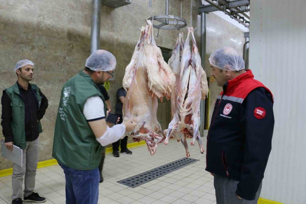 Pre-holiday slaughterhouse inspection