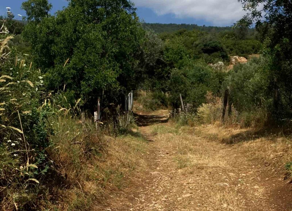 Sehzadeler Municipality has reopened the road that has been closed for 5 years