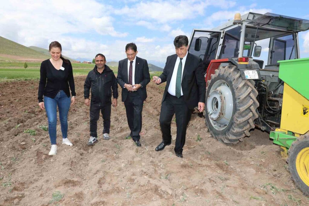The first purple potato planting was carried out in Erzurum