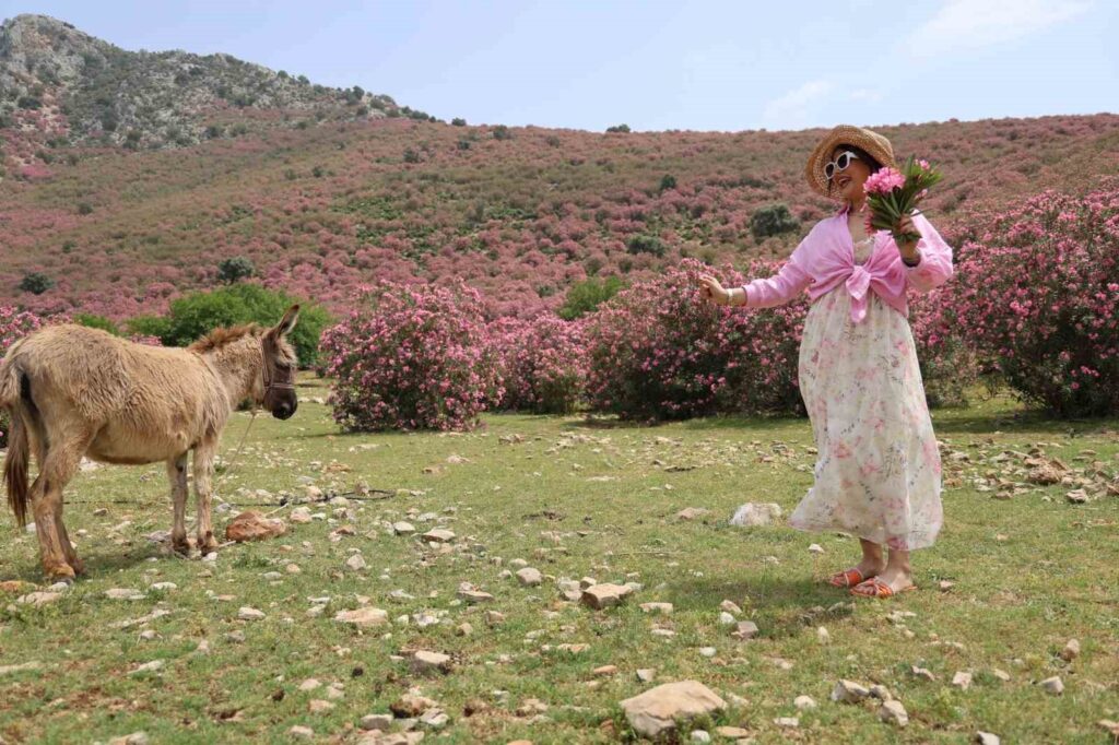 The Natural Beauty of Kozan Adorned with Oleander Flowers
