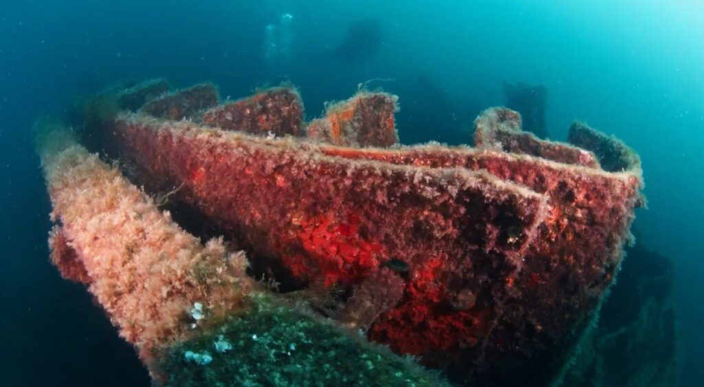 Underwater photographer Alex Dawson captured wrecks from the 109-year-old Gallipoli Campaign