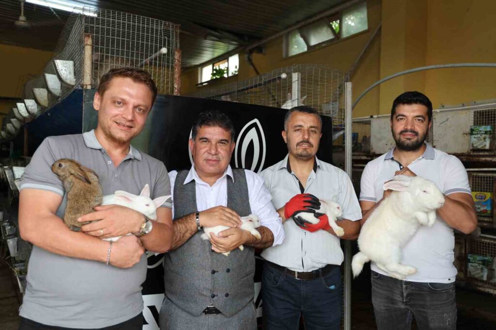 With government support, he bought 10 rabbits, which led to the opening of 78 separate rabbit breeding centers