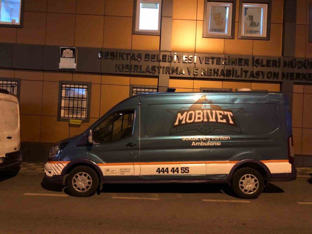 Beşiktaş Municipality sent an animal ambulance to the area where the fire disaster occurred
