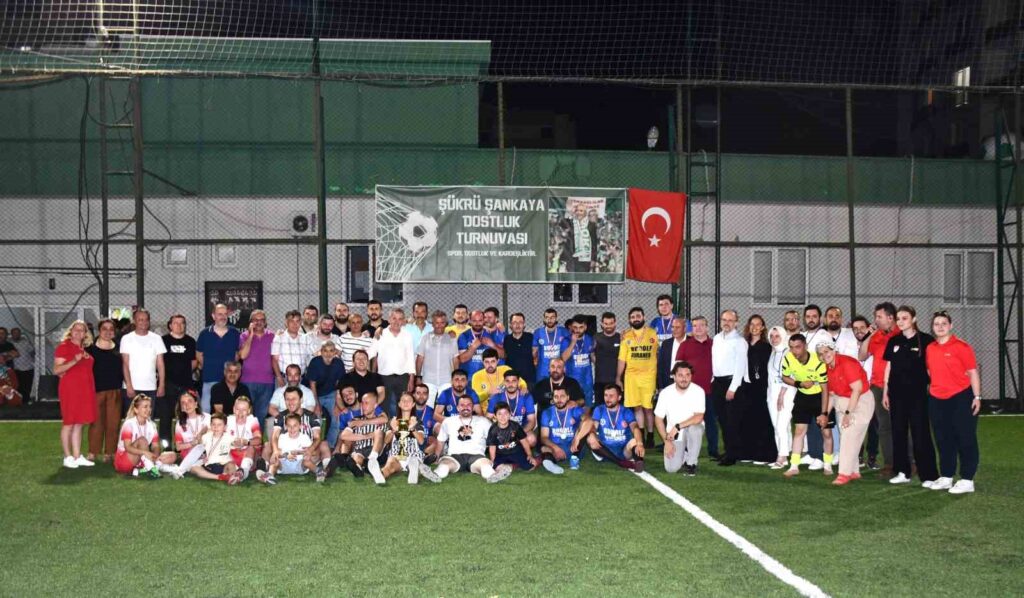 Champion flat paint in Yeşim