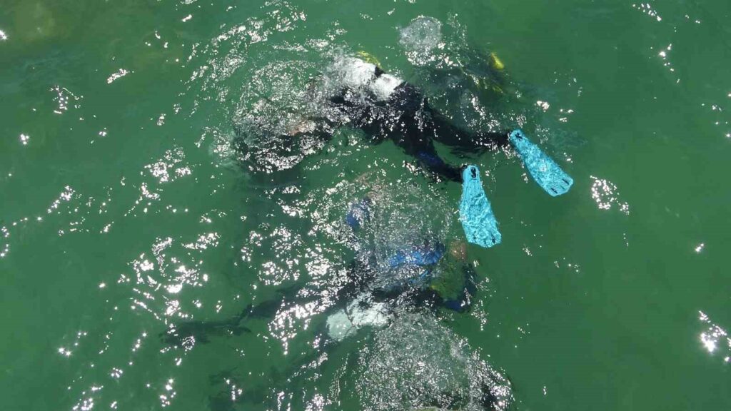 Diving season has opened in Lake Van