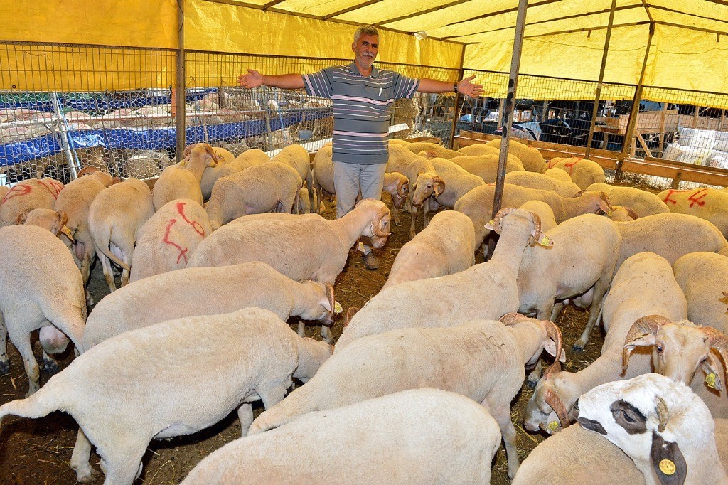 Donation campaign for Eid al-Adha has started in Izmir