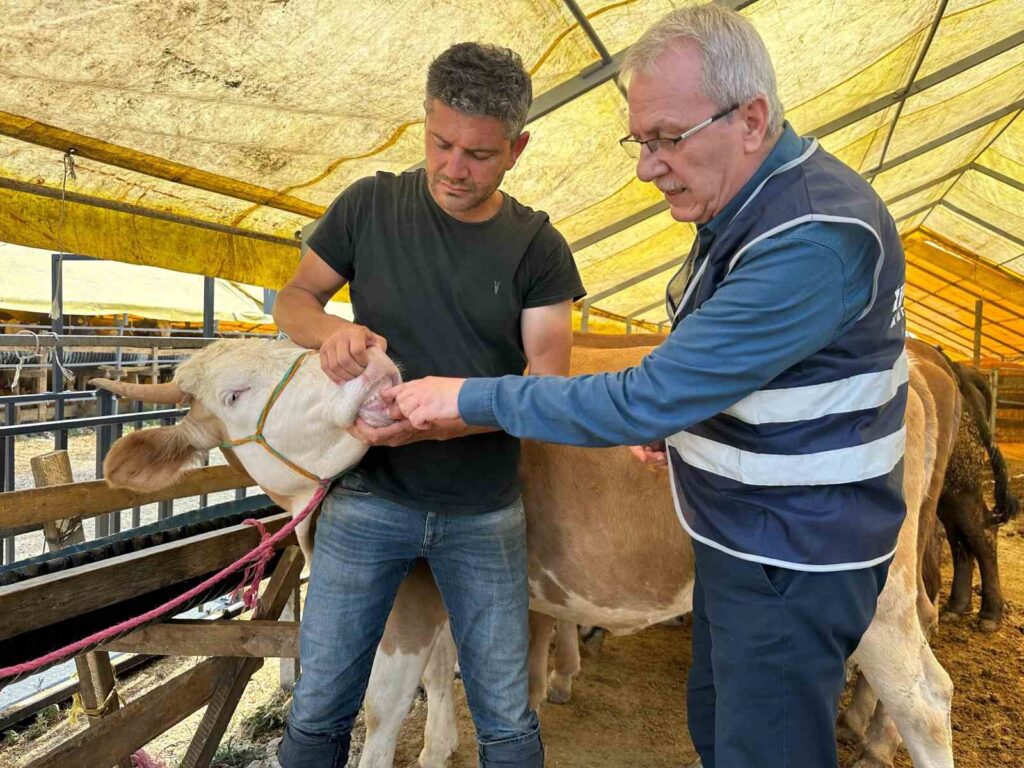 İhlas Foundation continues its activities during the Feast of Sacrifice