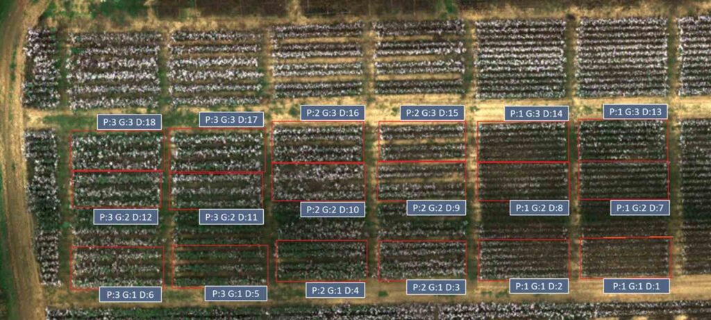 Invention to increase cotton yield with artificial intelligence patented