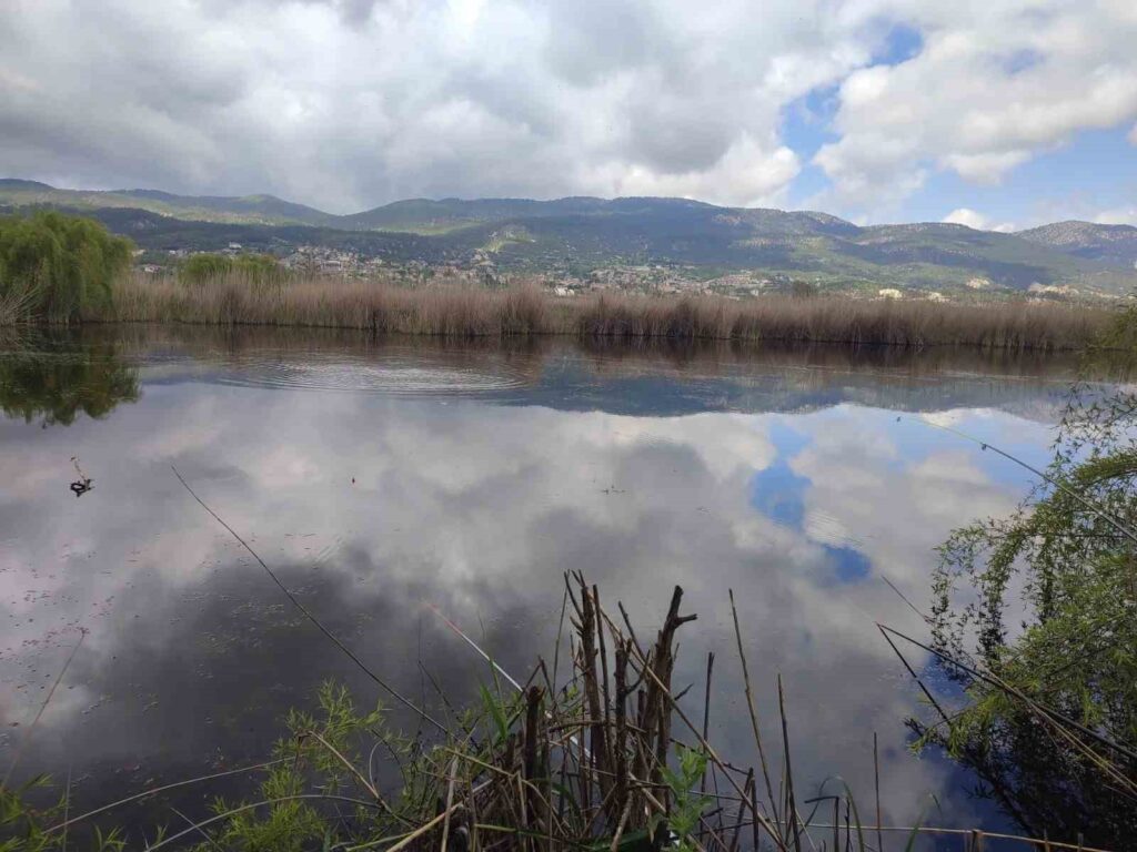 Productive lands turned into a fish pond