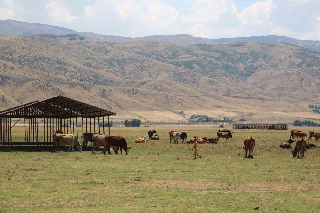 A village in Muş has been quarantined.