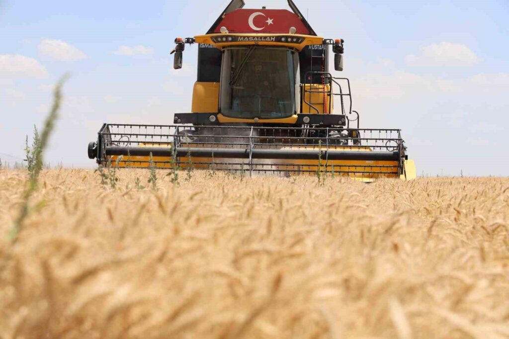 Decrease in wheat yield in Konya