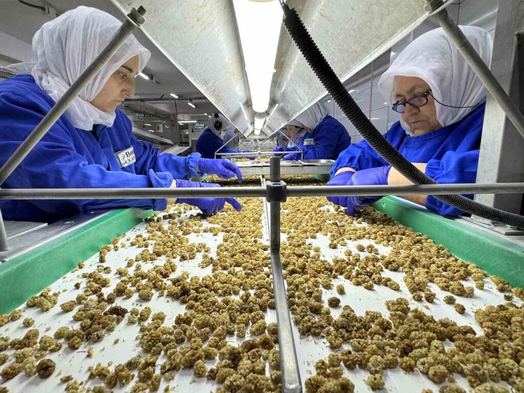 Dried fruit exports increased to 829 million dollars.