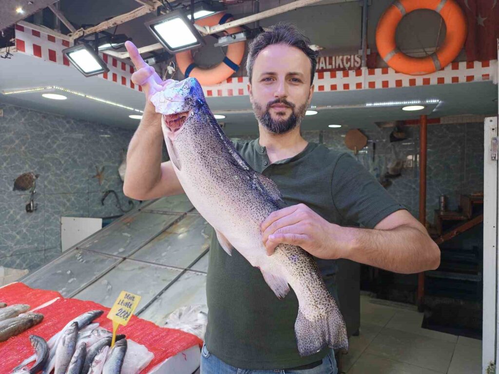Fishermen’s eyes are on the mackerel