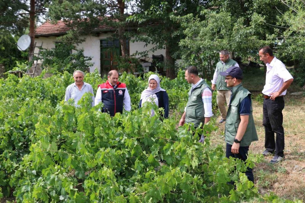 Hail caused damage in Üzümlü.