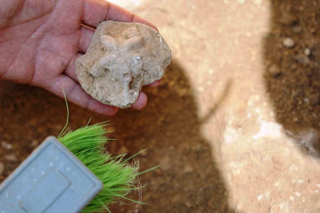 New findings in the 1,500-year-old church ruins in Diyarbakır