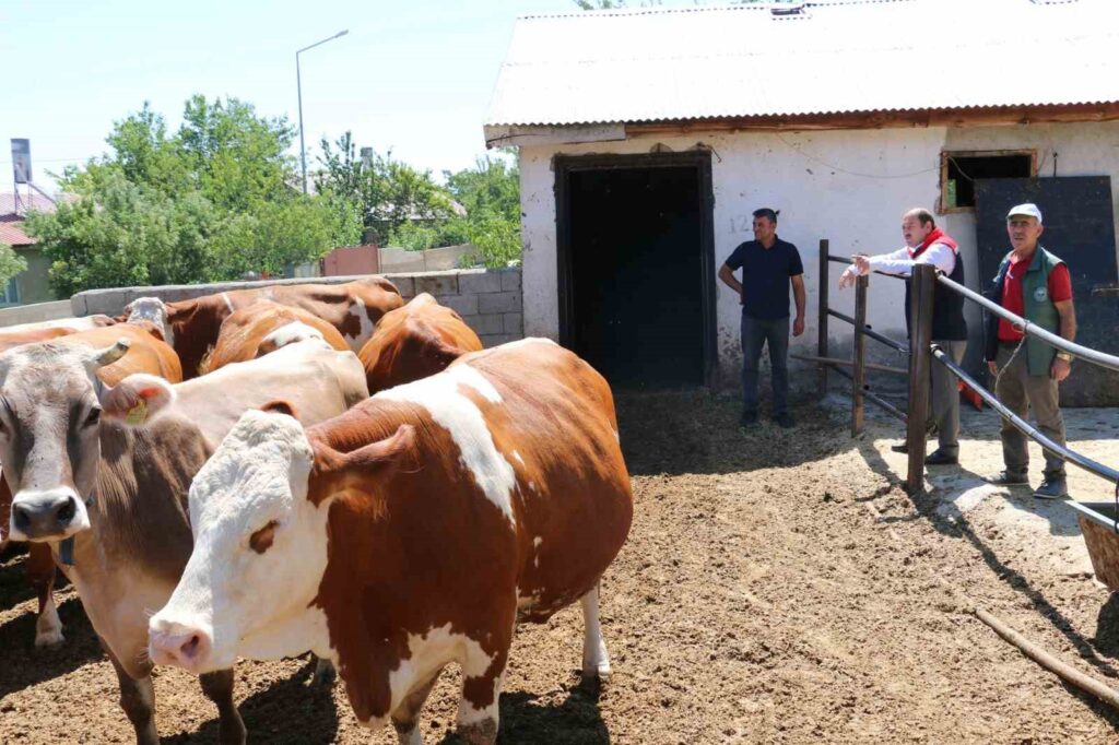 Visit to small family farms in Erzincan Agriculture