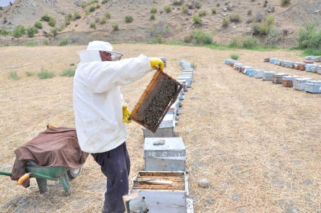 Beekeepers in Batman have produced the world’s highest quality honey with government support.