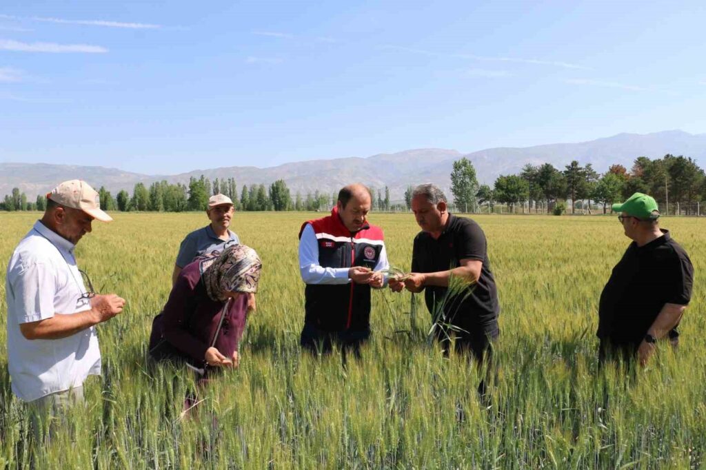 Plant production supports for the year 2024 have been announced.