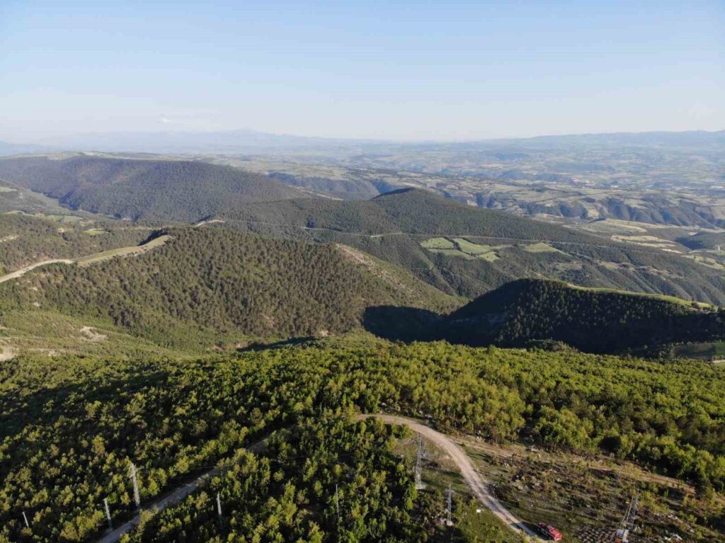 The pig population has increased, calling hunters for a ‘wild boar drive hunt’.