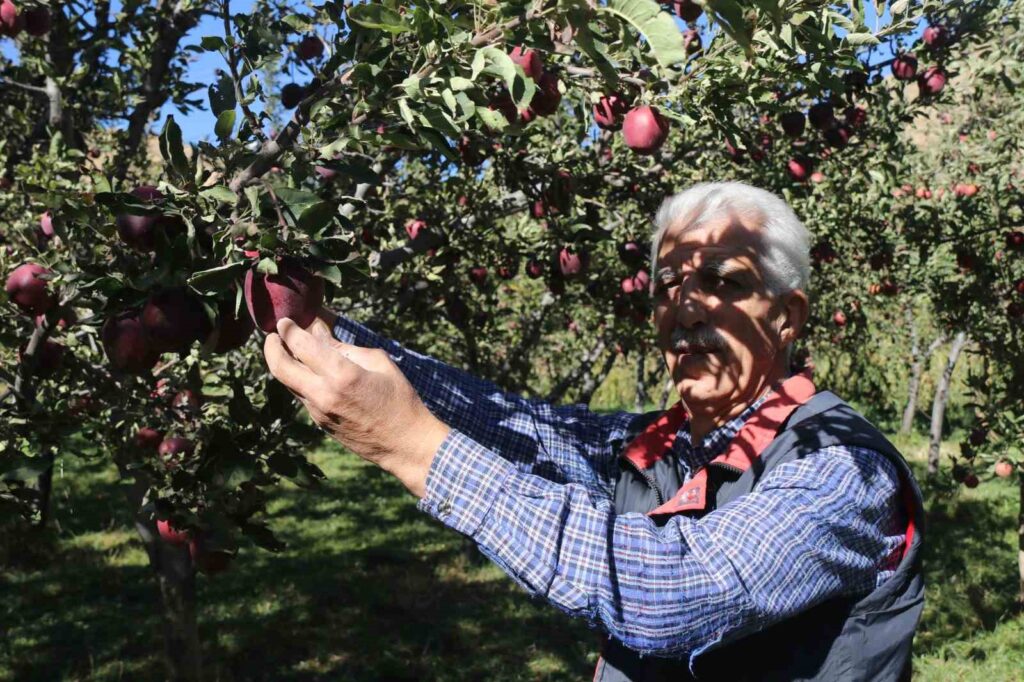 He turned fruit growing from a hobby into a business.