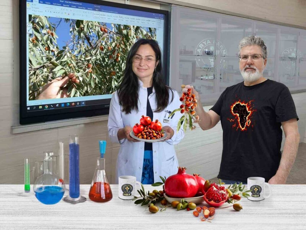 Karya-Farma took pomegranate and jujube to the laboratory in September.