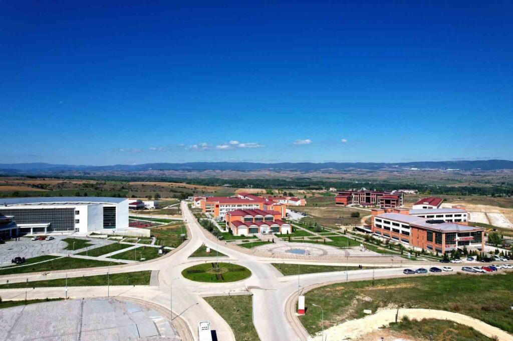 Kastamonu University will investigate the protective effects of melittin, which is commonly used in cancer treatment, on the heart.