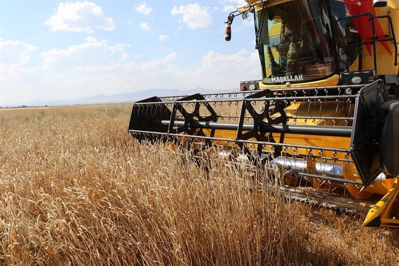 Seed and seedling support for agriculture in Erzurum
