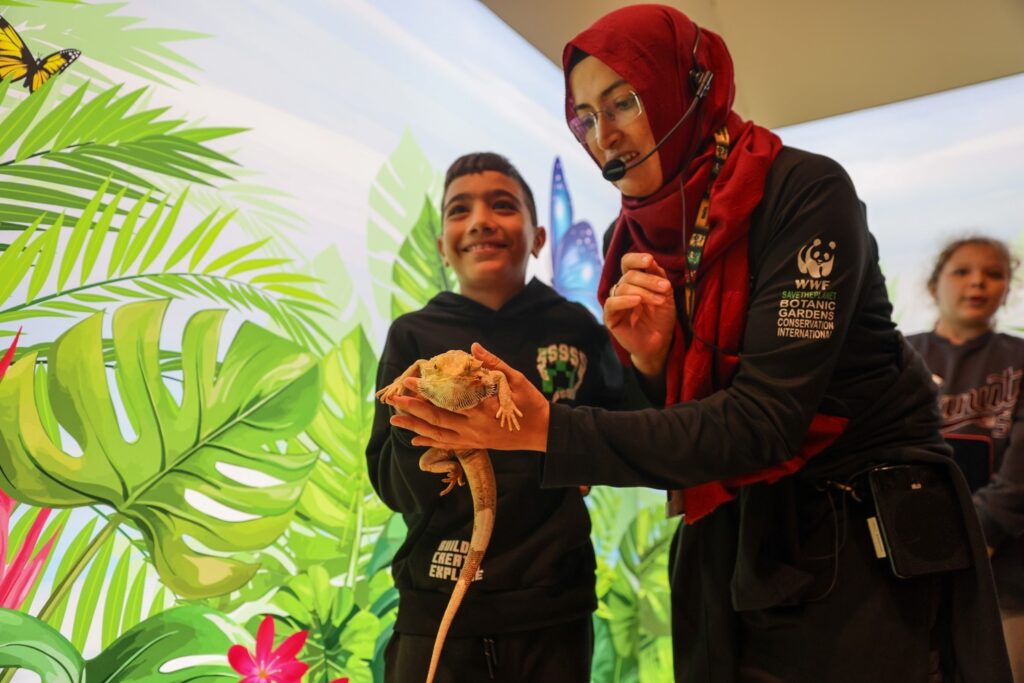 Students are meeting the bearded dragon living in the deserts of Australia at the Konya Tropical Butterfly Garden.