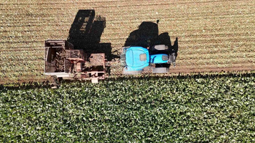 The grain season in Sivas closed with a record.