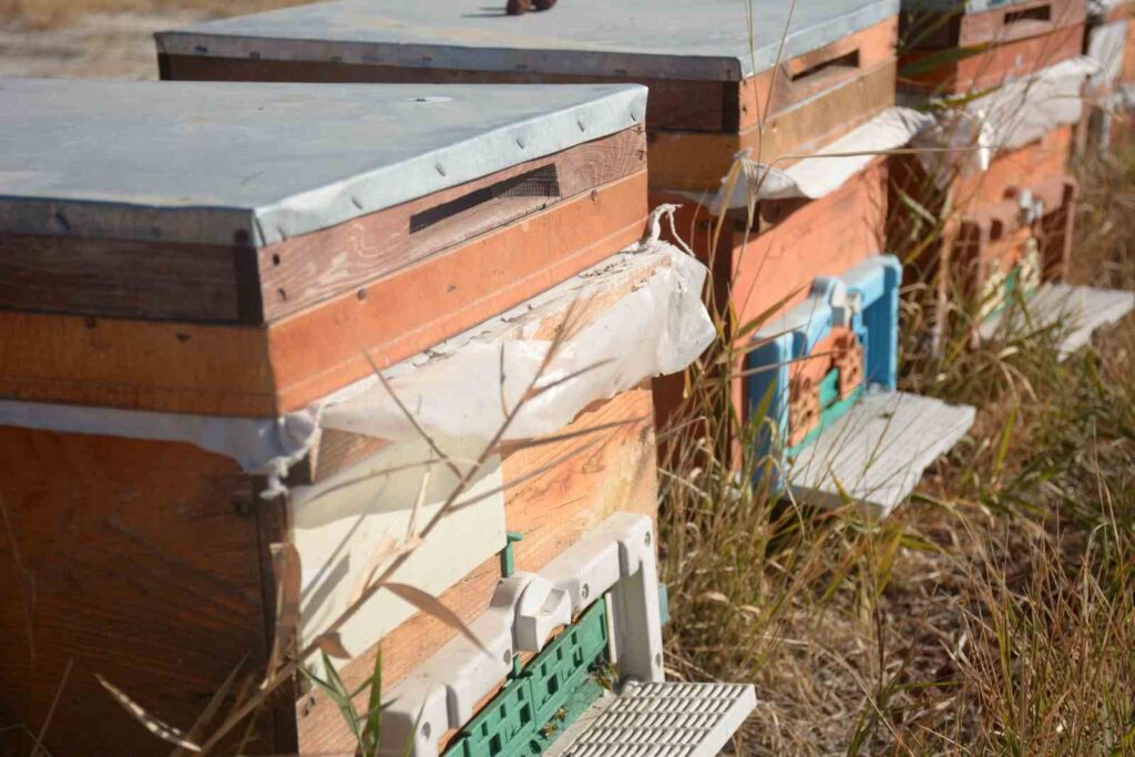 Electromagnetic fields threaten the future of bees.