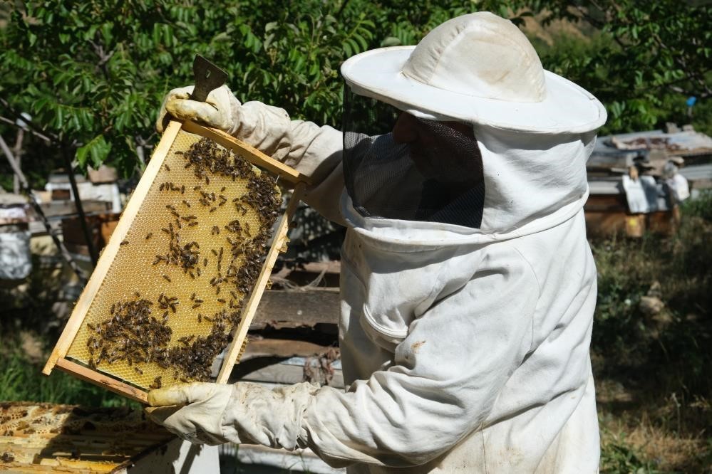 In Bayburt, the bees’ “sweet sleep” is starting.