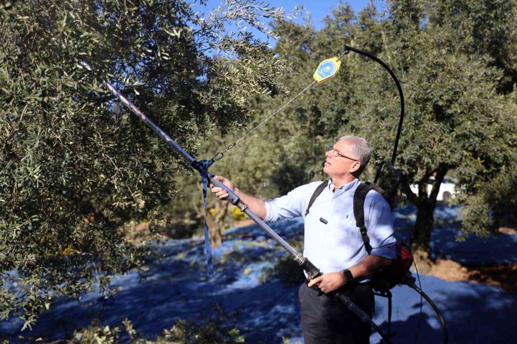 Mudanya Municipality stands by the olive producers.