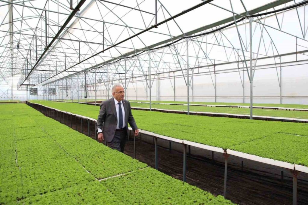 Self-Sufficient Army: Met with 3.5 million seedling producers